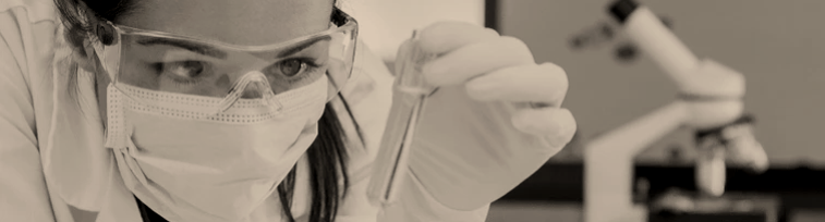 EIC Service 2 – EIC market fit & business model validation